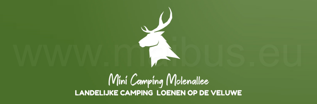 Mini Camping